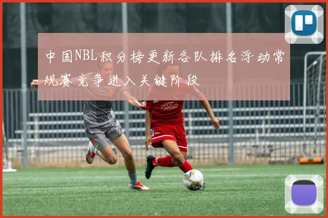 中国NBL积分榜更新各队排名浮动常规赛竞争进入关键阶段