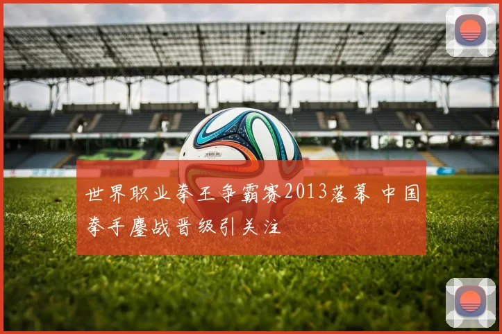 世界职业拳王争霸赛2013落幕 中国拳手鏖战晋级引关注