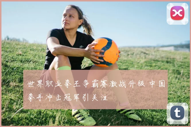 世界职业拳王争霸赛激战升级 中国拳手冲击冠军引关注