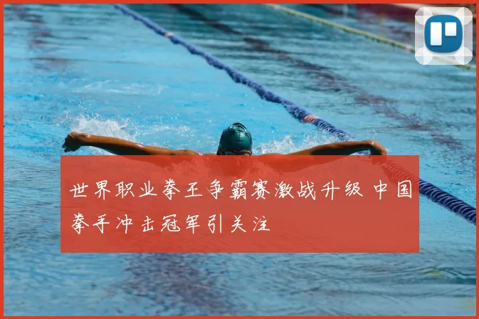 世界职业拳王争霸赛激战升级 中国拳手冲击冠军引关注