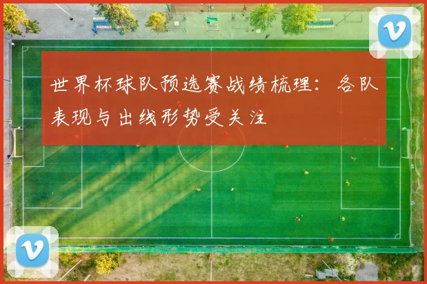 世界杯球队预选赛战绩梳理:各队表现与出线形势受关注