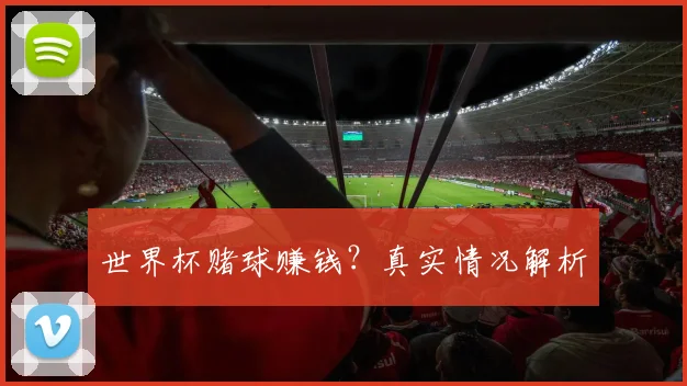 世界杯赌球赚钱?真实情况解析